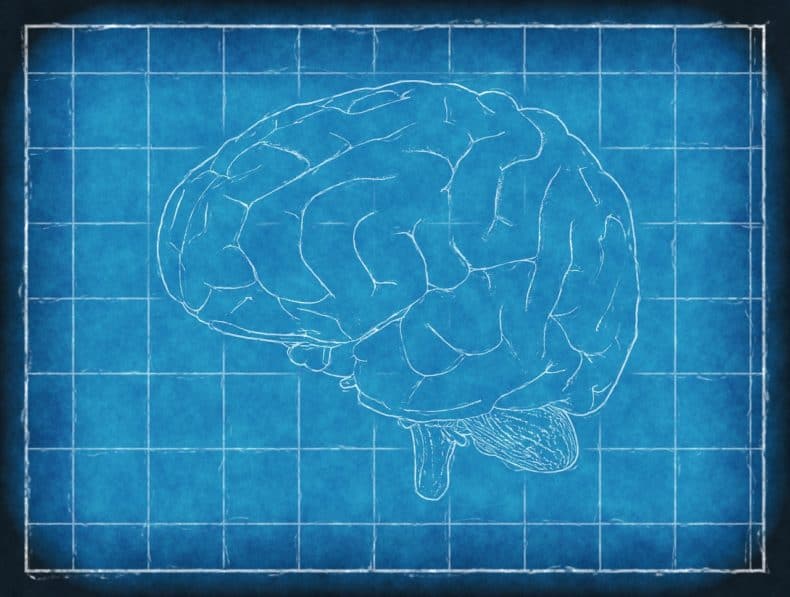 Closed Head Wounds from Accidents