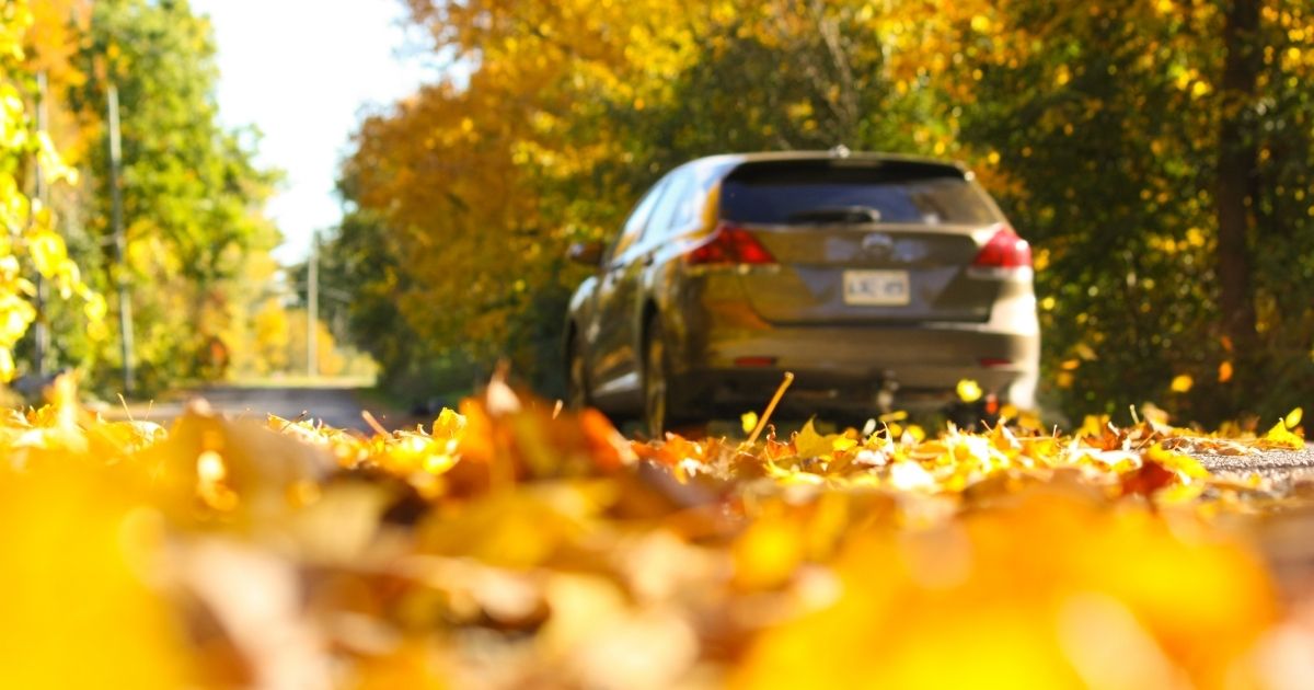 Fall Car Accidents